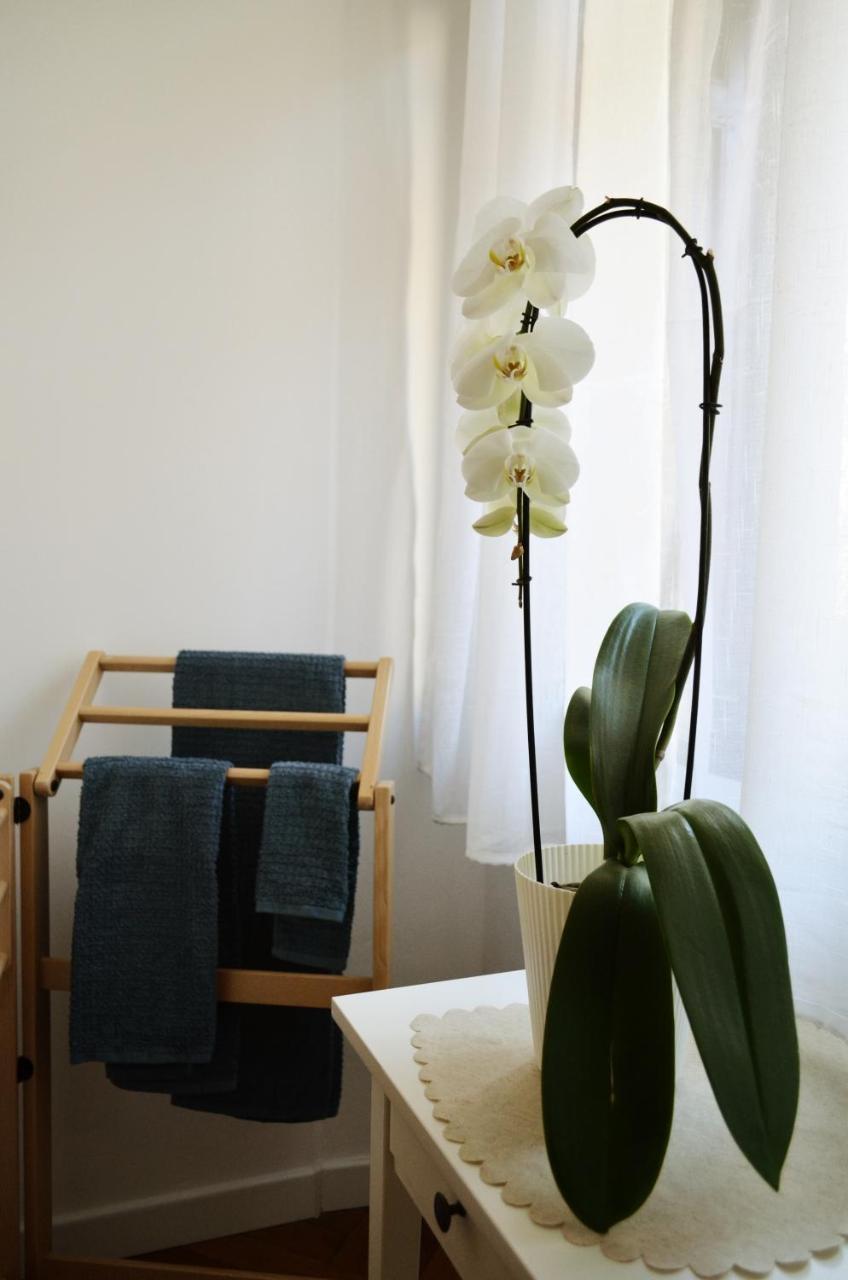 Punto8 Bed and Breakfast Triëst Buitenkant foto